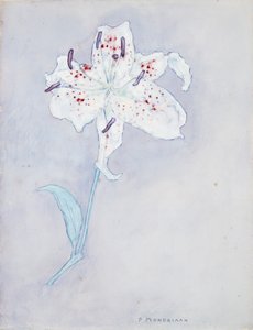 Lily, ca. 1920-25 (akvarell på papir) av Piet Mondrian