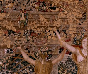 flamsk billedvev. Seriene Vertumnus og Pomona.Vertumnus forvandlet til en bonde. Andre billedvev i serien. Høyre del transformasjonen av nymfen Myrrha. Modellsirkel av Pieter Coecke van Aelst. Produksjon Wilhelm Pannemaker, Brussel. ca 1545-