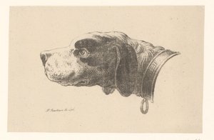 Hundehode med halsbånd av Pieter Bartholomeusz. Barbiers