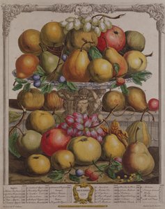 Desember, fra "Twelve Months of Fruits", av Robert Furber (ca. 1674-1756) gravert av Henry Fletcher, 1732 (fargegravering)