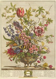 februar, fra `Twelve Months of Flowers