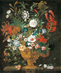 september, fra The Twelve Months of Flowers, en blomsterkalender med stilleben av Pieter Casteels