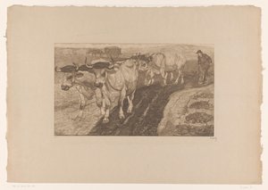 Pløye okser av Pieter Dupont (signed by artist)