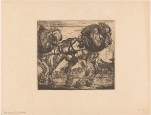 Trekkhester ved Seinen i Paris L
