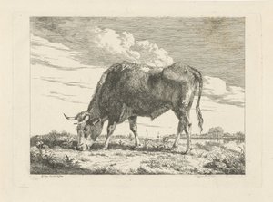 beitende ku av Pieter Gerardus van Os
