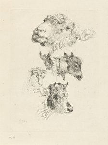 Studieark med sau, hest, esel, vær og oksehoder av Pieter Gerardus van Os