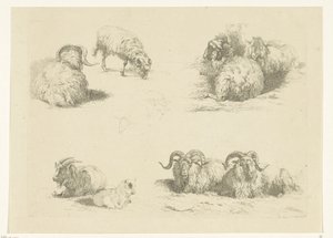 Fire forestillinger med sauer og geiter Sauer og geiter (serietittel) av Pieter Gerardus van Os