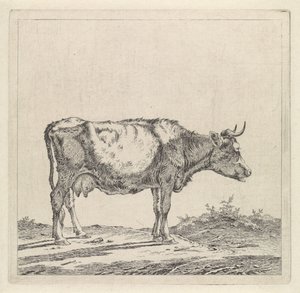 Landskap med en ku ved vannkanten av Pieter Janson