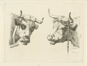 To kuhoder av Pieter Roosing