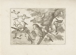 Uil en andre fugler i boom Forskjellige fugler (serietittel) De mest perfekte figurene til forskjellige fugler (...) (serietittel) av Pieter Schenk (I) (attributed to)