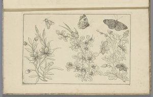 Tre blomstergrener og tre sommerfugler Kinesiske blomster og insekter (serietittel)