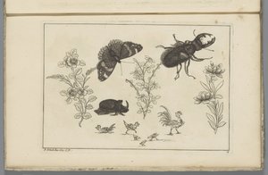 Tre blomstergrener med neshornbille, sommerfugl og tor Kinesiske blomster og insekter (serietittel)
