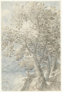 Trær ved en bratt fjellvegg av Pieter Stevens (I)