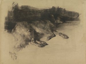 Løgnende, sovende hund