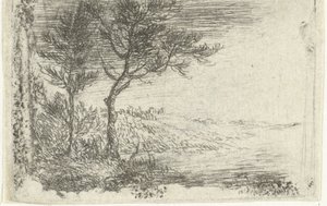  av Pieter van Laer