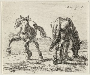  av Pieter van Laer