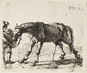  av Pieter van Laer