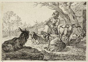  av Pieter van Laer