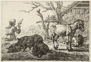  av Pieter van Laer