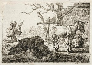  av Pieter van Laer