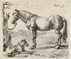  av Pieter van Laer