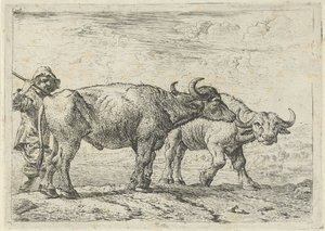  av Pieter van Laer