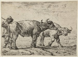  av Pieter van Laer