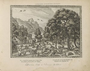 Schepping van de mind Guddommelighet skissert i menneskeheten (tittel på objekt) De hellige emblemene og hovedhistoriene til begge testamentene (Oude Testamentet) (serietittel) Bilder og figurer av bøker (serietittel) av Pieter van der Borcht (I)
