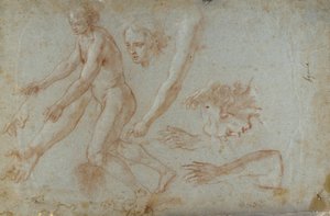  av Pietro Aquila
