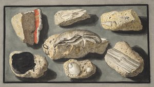 Eksemplarer av Tufa funnet i og rundt Herculaneum, plate XXXXV, fra 