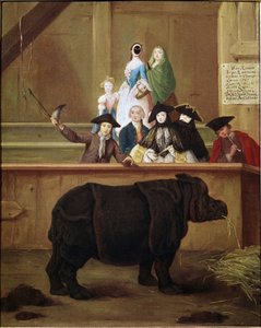 Rhinoceros: utstilling av Clara, indisk neshorn. Maleri av Pietro Longhi (1702-1785). 1751. Venetiansk museum fra 1700-tallet. Ca 