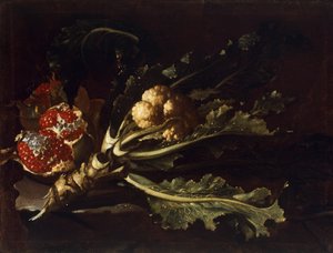 Blomkål og granatepler av Pietro Paolo Bonzi