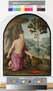 Den hellige Hieronymus i villmarken, ca. 1510-15 av Pietro Perugino