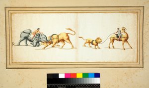Kopi av en mosaikk av en elefant som kjemper mot en okse (svart kritt, noen med penn og brunt blekk. farget med akvarell) av Pietro Santi Bartoli