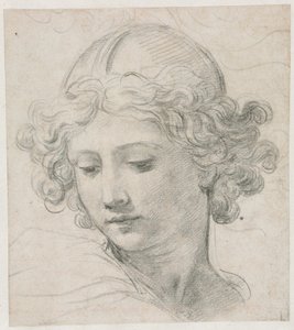 Studie for lederen av St. Michael av Pietro da Cortona