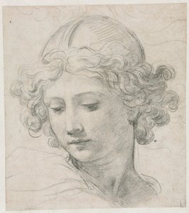 Studie for lederen av St. Michael, 1633. av Pietro da Cortona