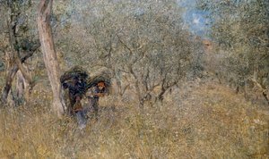 Blant oliventrær, faskiner, av Plinio Nomellini (1866-1943), olje på lerret, 60x100 cm av Plinio Nomellini