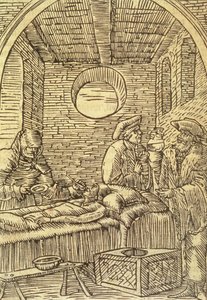 Administrering av medisinske urter, 1534 av Polish School