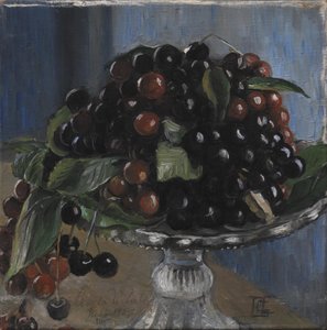 Kirsebær i en fruktbolle. Cività d
