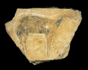 Svart doe, Parpallo-hulen, Spania, øvre paleolittisk (maleri) av Prehistoric Prehistoric