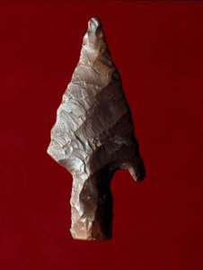 Egyptisk antikvitet: pilspissen fra stedet til Fayoum (Fayyum eller Fayum) i Egypt. Predynastisk periode. Verone, Museo Civico di Storia Naturale, Italia av Prehistoric Prehistoric