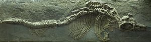  av Prehistoric Prehistoric