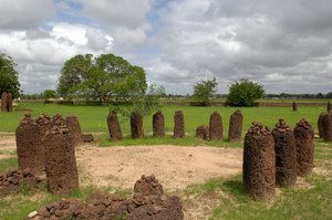 Forhistorie: Megalittisk sirkel av steiner fra Wassu, Gambia (bilde) av Prehistoric Prehistoric