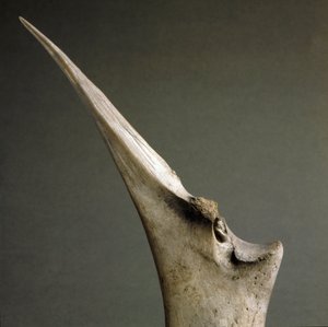 Forhistorie, Polada-kultur: tuppen av bein fra Polada Tourbiere, Lonato. Bronsealderen. Roma, Luigi Pigorini nasjonalmuseum for forhistorisk etnografi av Prehistoric Prehistoric