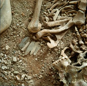 Forhistorie: dobbel gravferd av voksne og barn. Detaljvisning av begravelsesbuksen fra Candid Arene-hulen (Finale Liguria), Liguria. Mesolitikum, 7000-6000 f.Kr. Gener, museo di archeologia ligure av Prehistoric Prehistoric