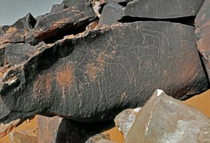 Forhistorie, bergkunst: gravstein av representasjonen av storfe. Tazina-stil. Steinalder 5000-2000 f.Kr. Taghit, Haut plateau du Hoggar (Ahaggar), Algerie av Prehistoric Prehistoric