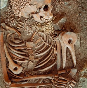 Forhistorie: skjelett og begravelsesbukse av tenåringer sagt om den unge prinsen fra hulen til Arene Candide (Finale Ligure): halskjede av skjell, hjortehorn og flint. Steinalder, øvre paleolitikum. Gener, Museo di archeologia Ligure av Prehistoric Prehistoric