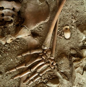 Forhistorie: tenåringsgrav. Detaljvisning av begravelsesbuksen fra hulen til Candid Arene (Finale Ligure), Liguria. Øvre paleolitikum, 24000 f.Kr. Gener, museo di archeologia ligure av Prehistoric Prehistoric
