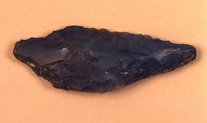 Steinpilspiss oppdaget i Isolino di Varese (Italia). av Prehistoric Prehistoric