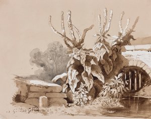 Studie av planter ved en grøft, med tillegg av en instruktør, 1856 (blyant, sepiavask og gouache på papir) av Prince Gaetano Maria Federico di Borbone
